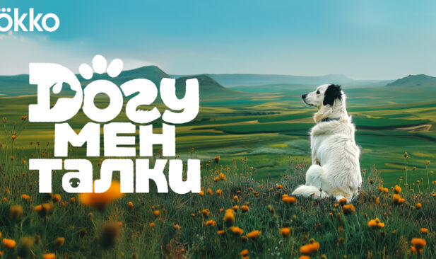 ДОГументалки: первые фильмы для собак