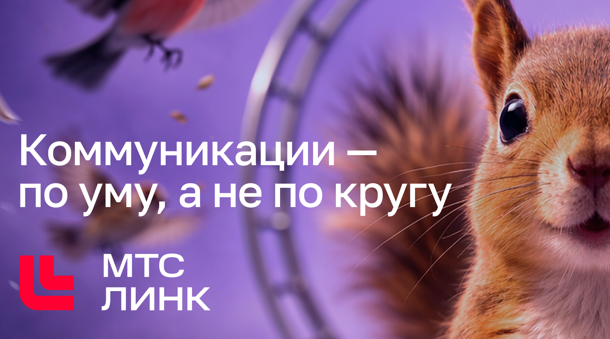 Как белка в колесе помогла вырваться из круга